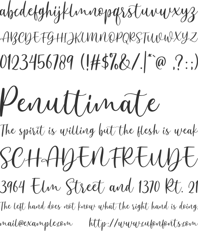 Anjani Script DEMO font preview
