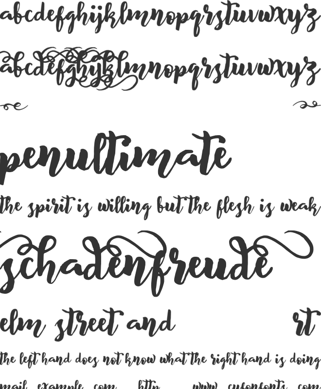 BeliveD font preview