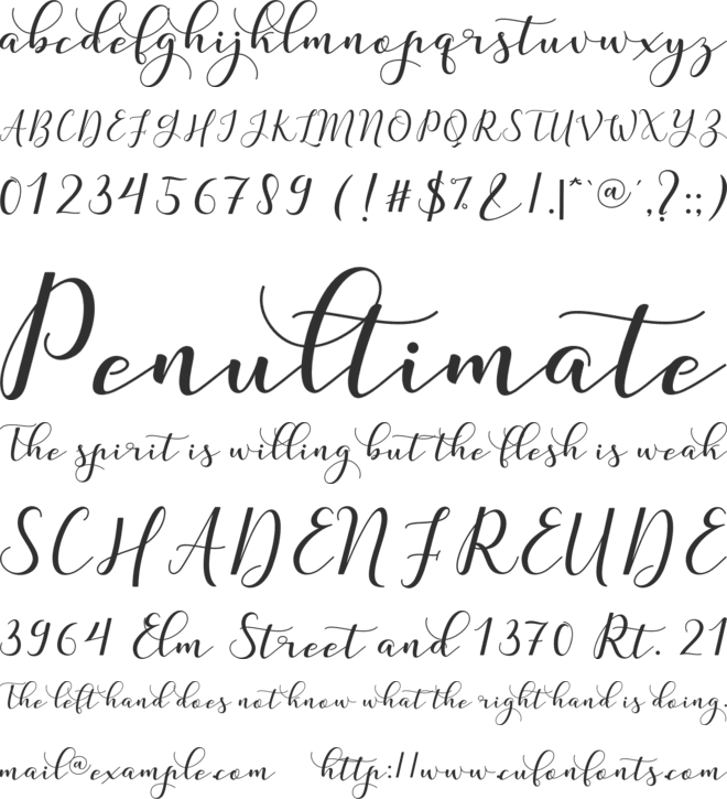 Nafigat Script font preview