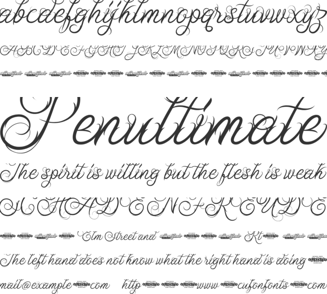 Ababil Script DEMO font preview