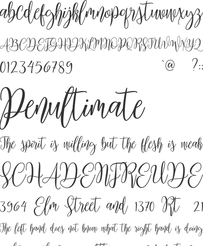 Mariposa Script Demo font preview
