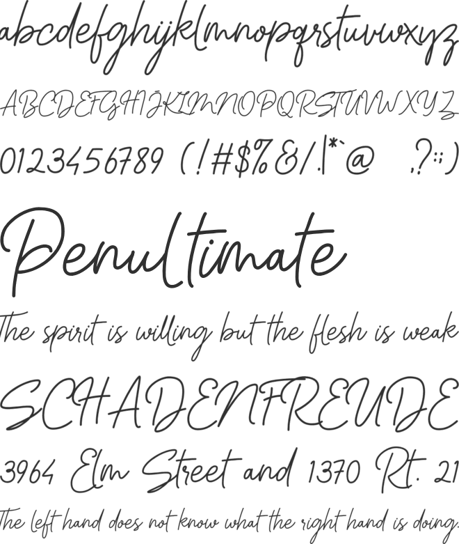 Haslley Beautiful Demo Version font preview