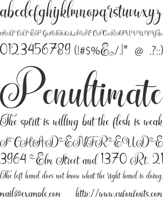Enjelina Demo font preview