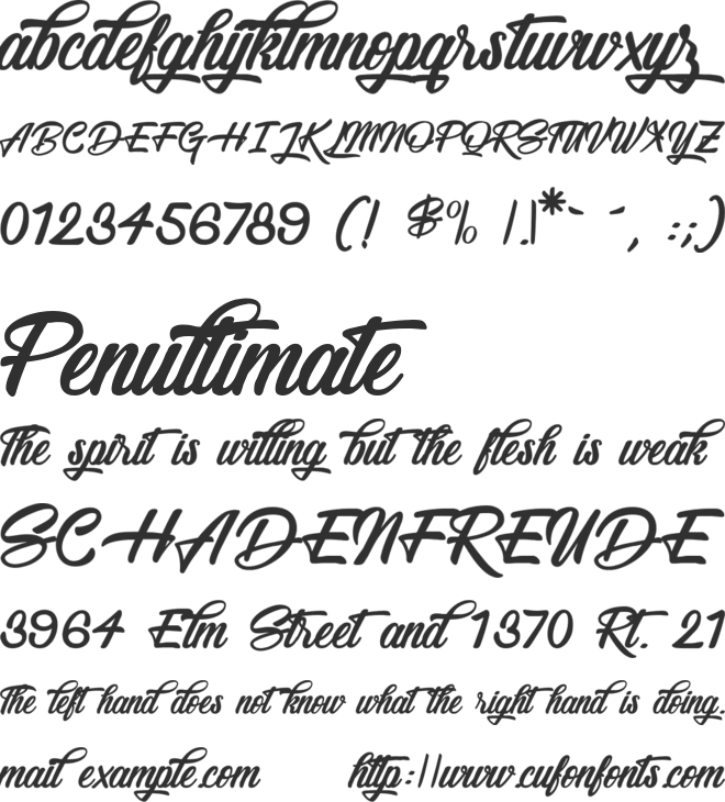 Snowboarding Only font preview