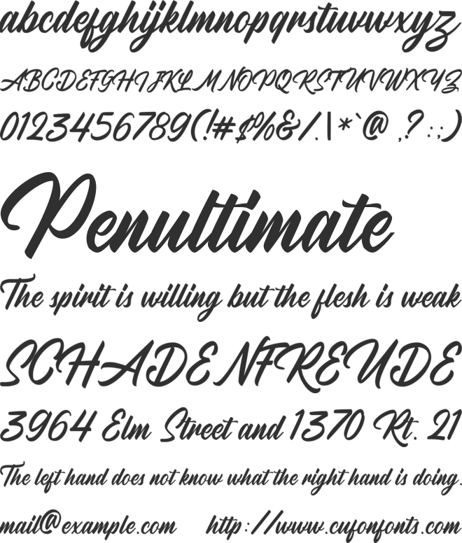 Radicals DEMO font preview