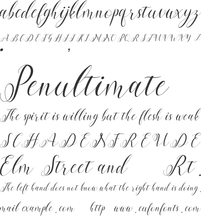 bellisa font preview