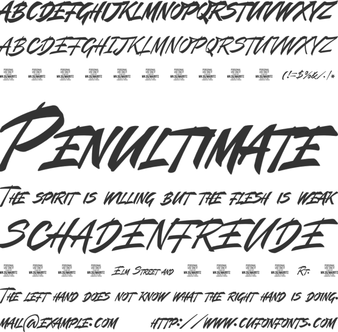 Mauritz Caps PERSONAL USE font preview