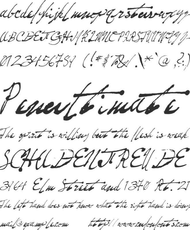 Fountain Pen Frenzy font preview