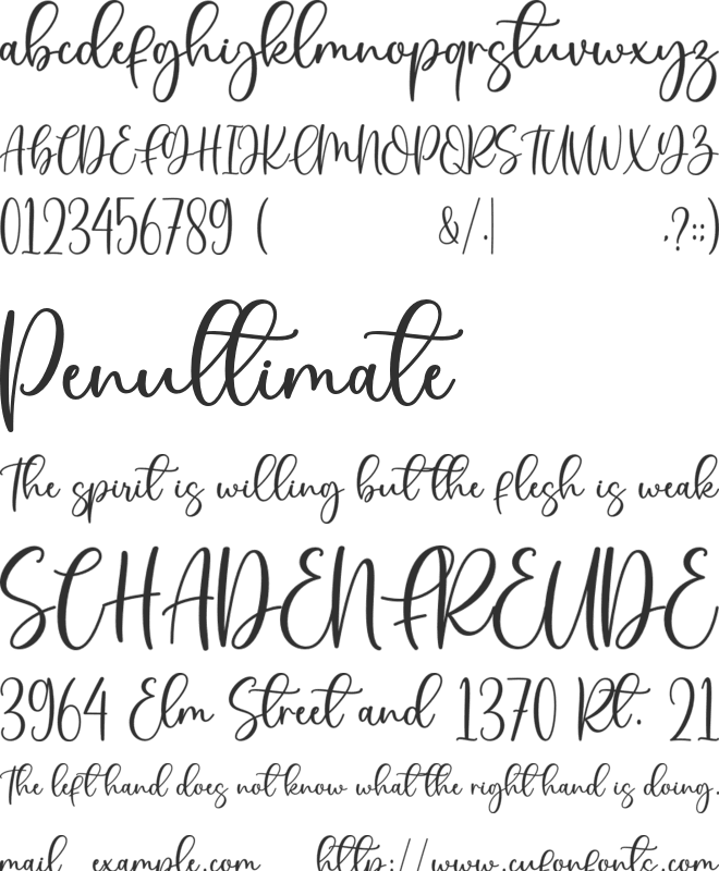 Bluebery font preview