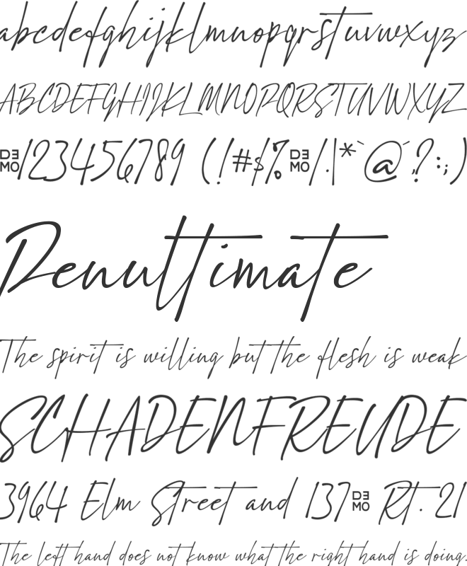 Scarlett Busiat_Demo font preview