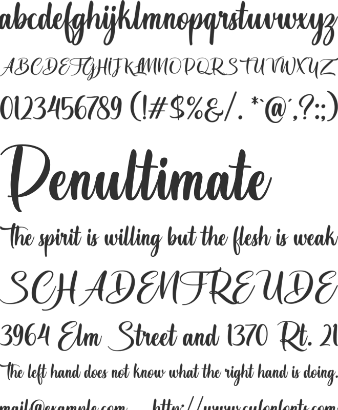 The Whisker font preview