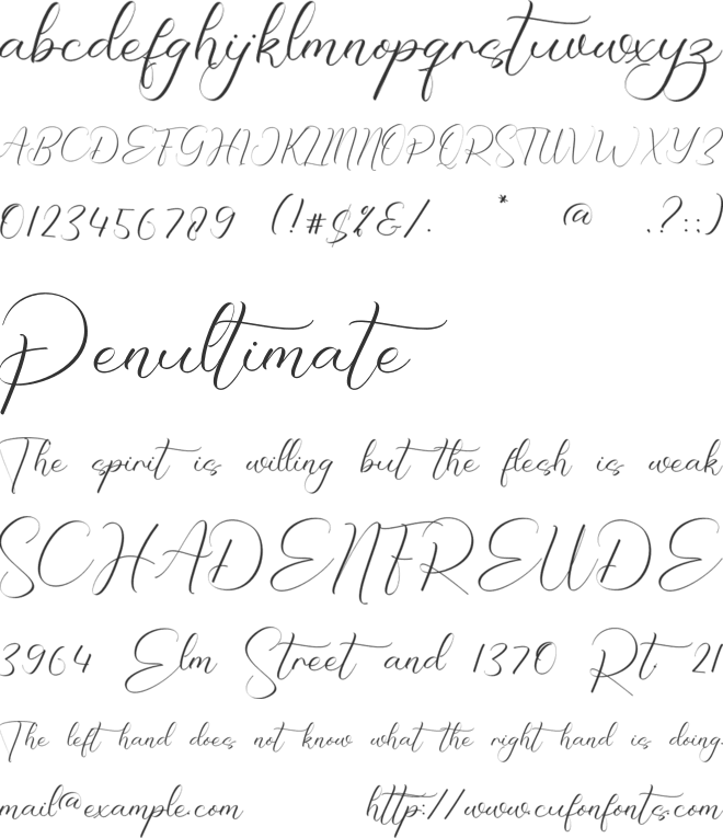 Natasha Georgia font preview