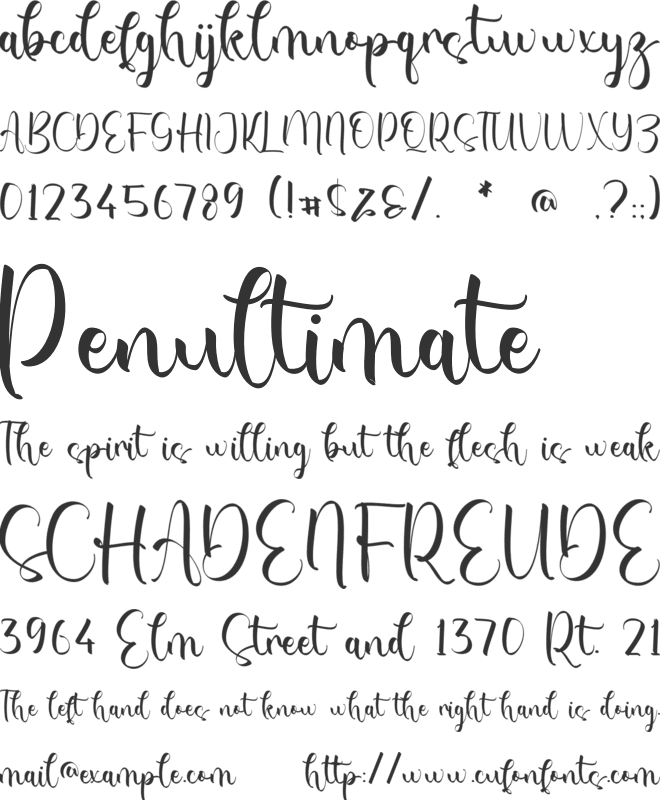 Paula Selina font preview