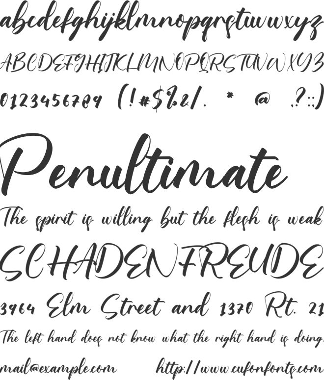 Yaritza font preview