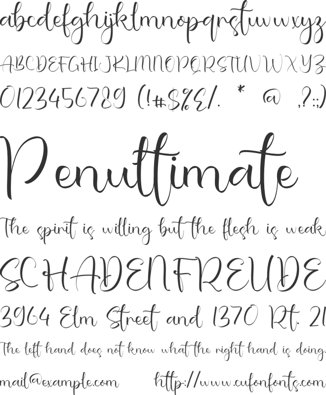 Biryanda Shaniya font preview