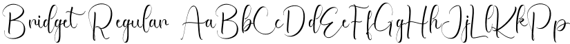 Bridget Regular font