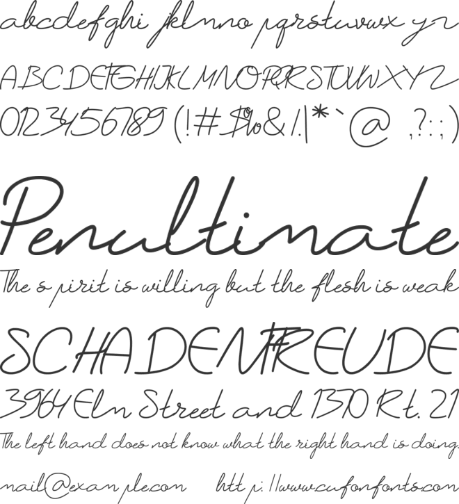 catherine font preview