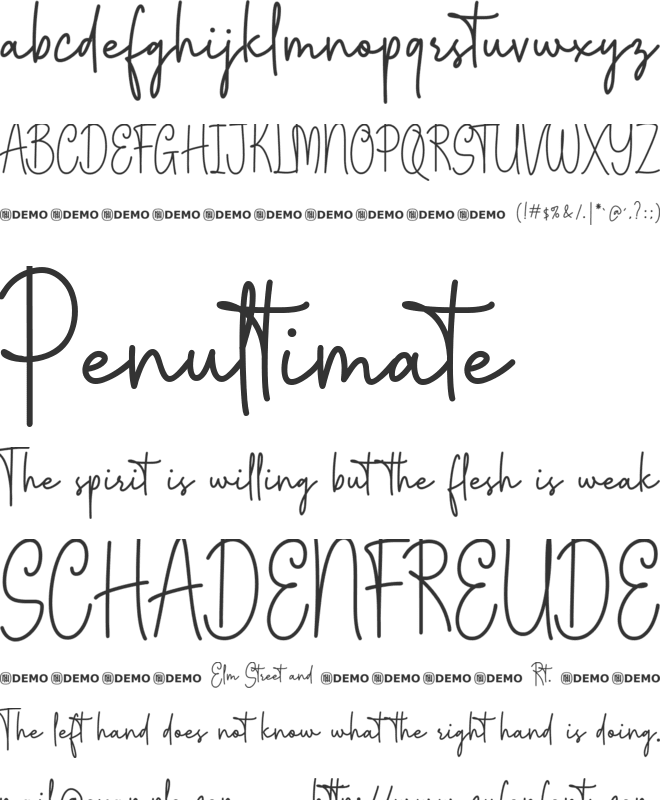 Mostly Floral font preview