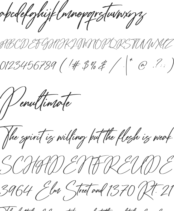 Tropical Harmony font preview