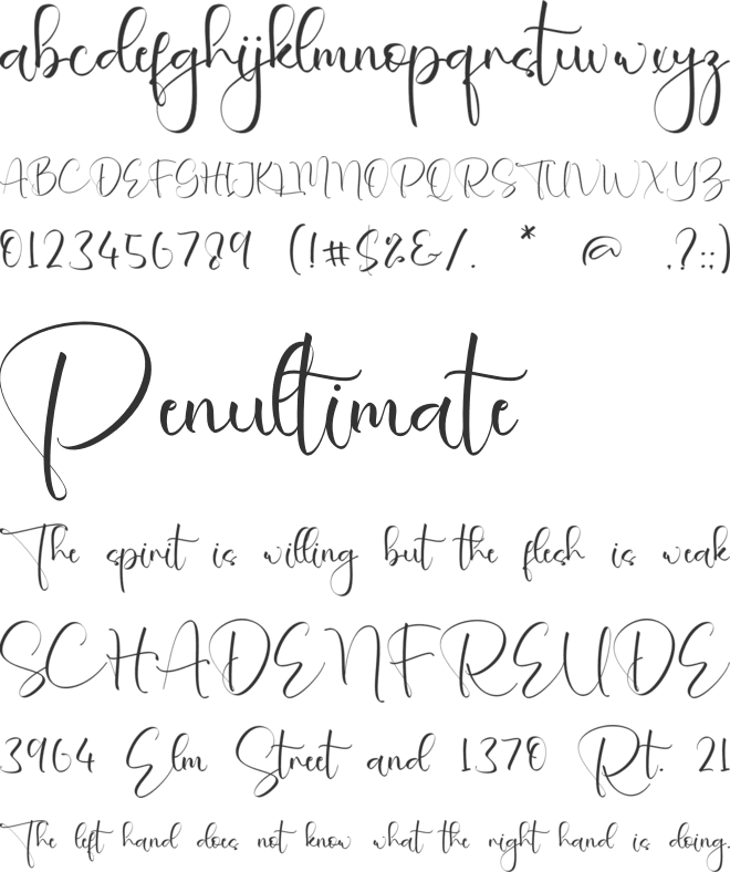 Danika Naomi font preview