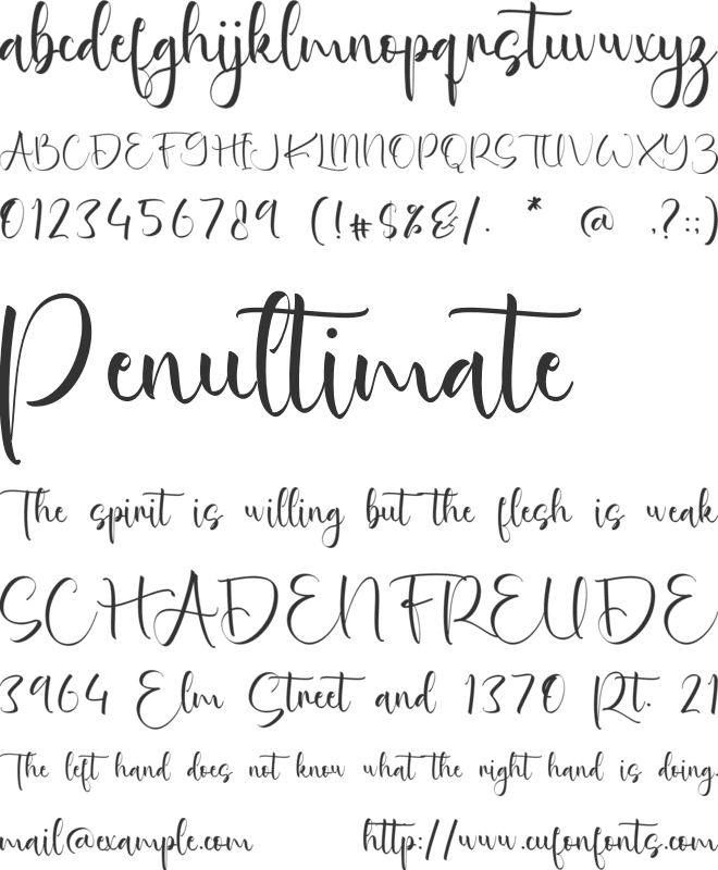 Stacy Harley font preview