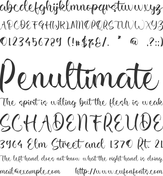 Damaris Chana font preview