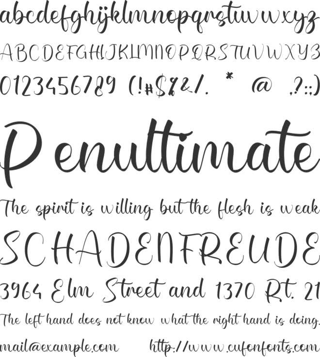 Annika Danika font preview