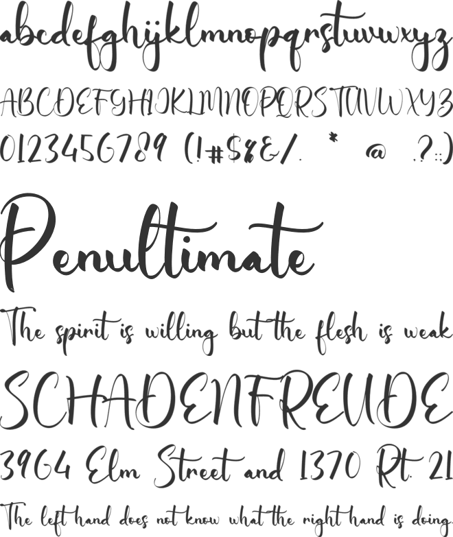 Erika Carleigh font preview