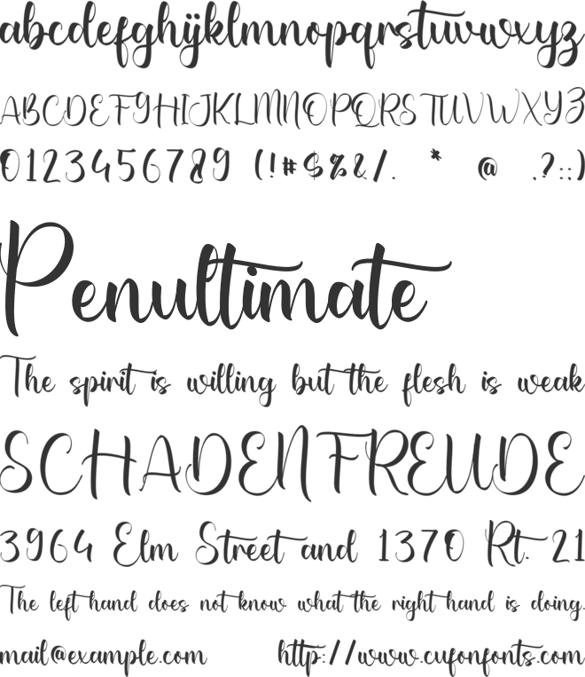 Catherine Makayla font preview