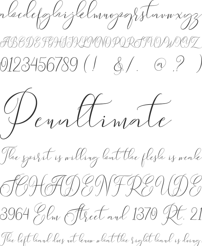 Sydnee Demo font preview