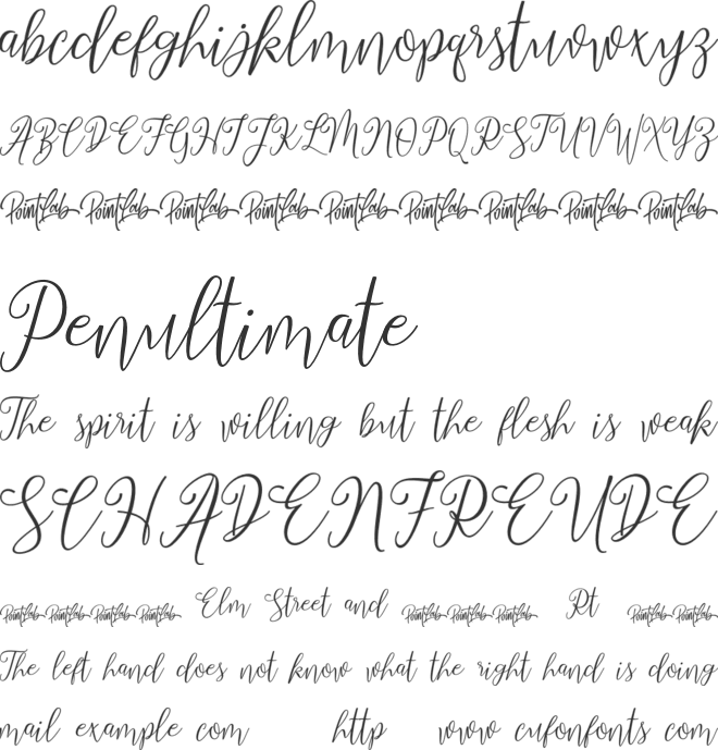 dimmya demo font preview