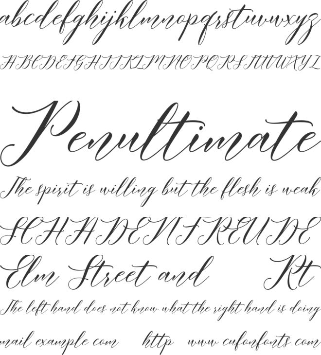 Meetha Script Demo font preview