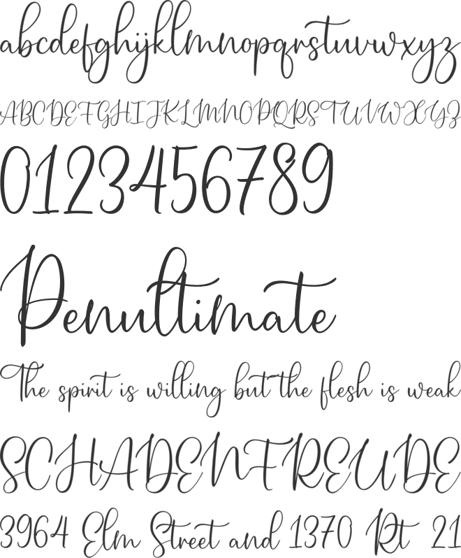 Petite Romance FREE font preview