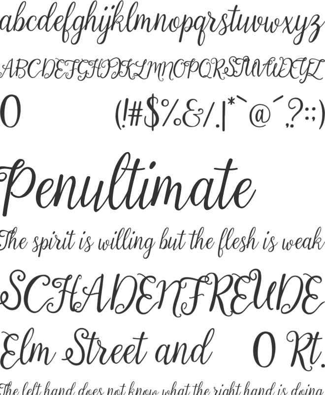 Calista font preview