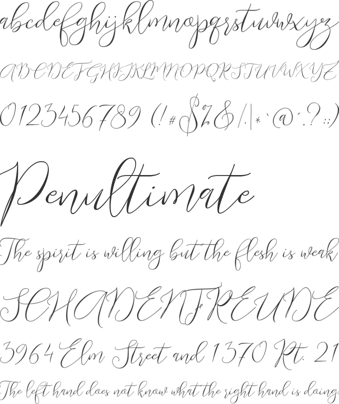 Endless font preview