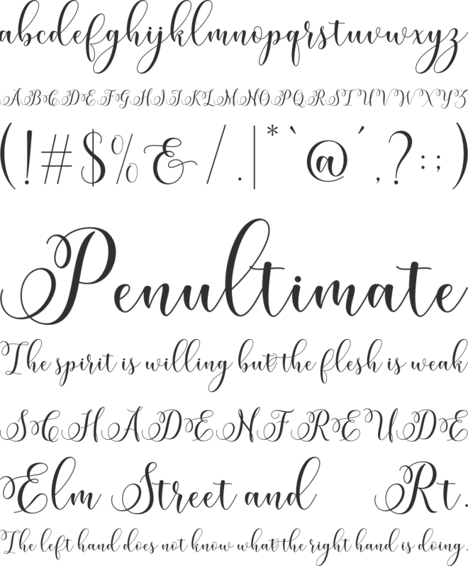 Miracle Script font preview