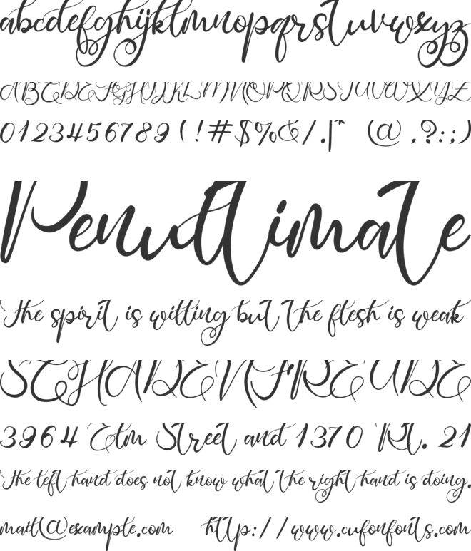 Rosette font preview