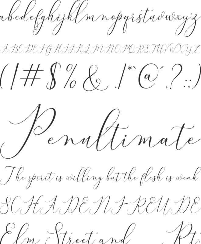 Bitthai Script font preview