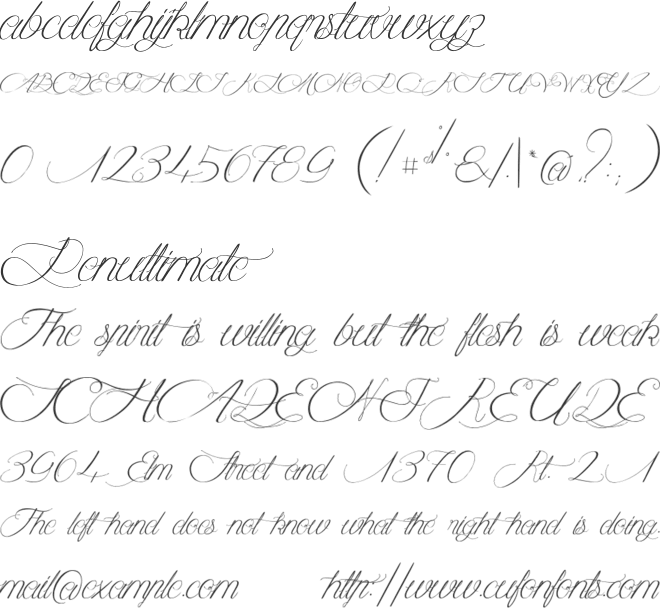 Midnight Legend font preview