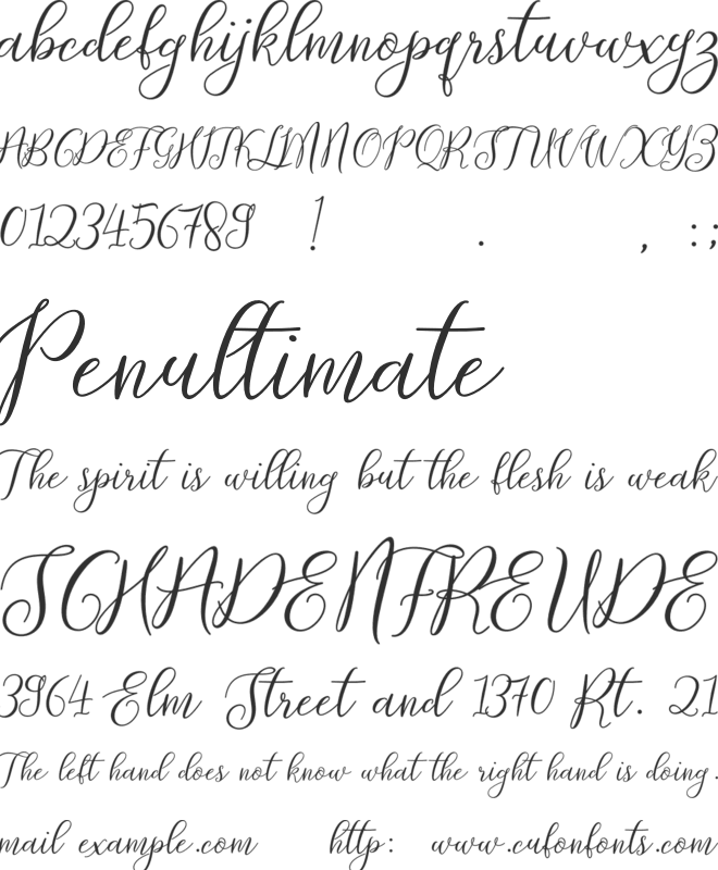 Prologue Script Lite font preview