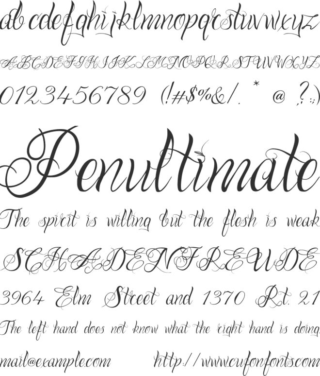 One Chance Script font preview