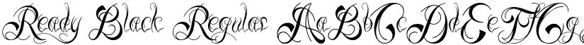 Ready Black font download