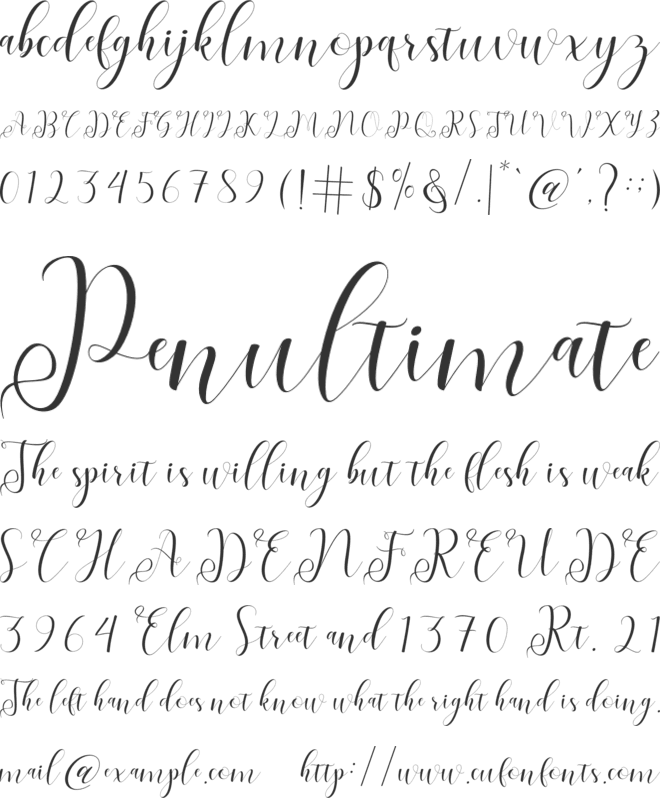 fabitha font preview