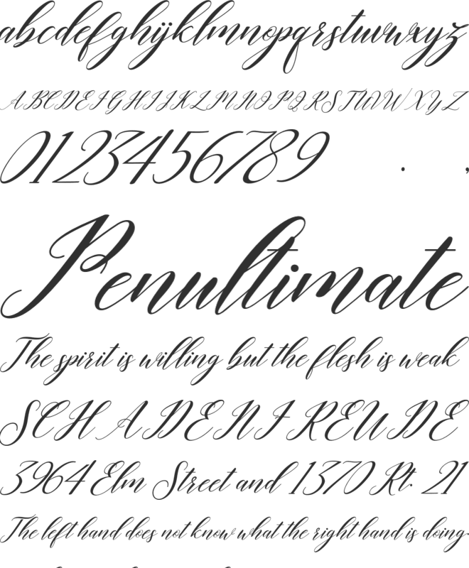 last night font preview