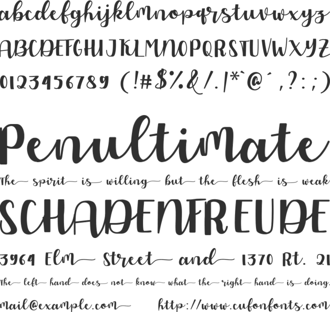 Allyca font preview