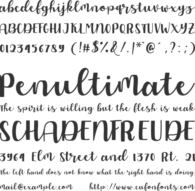 Allyca font preview