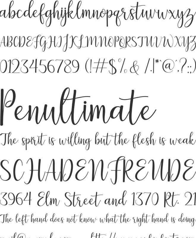 Lilly Mae font preview