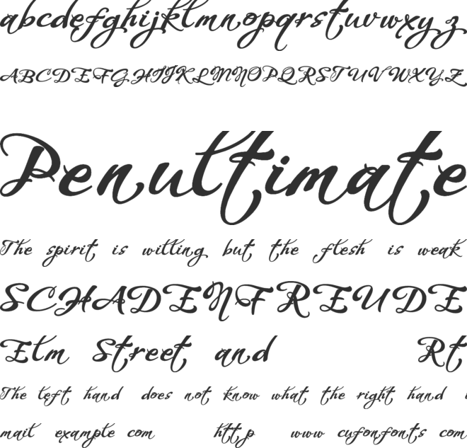 WHISPERS CALLIGRAPHY_DEMO_sinuous_BOLD font preview