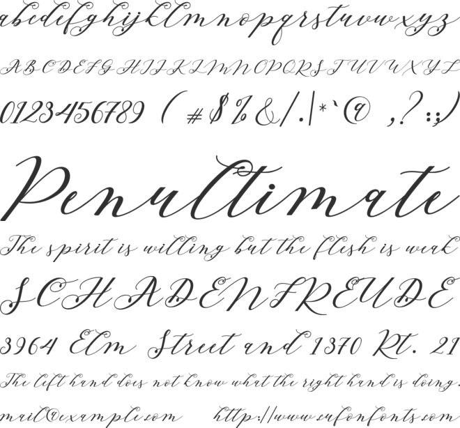 Beloved Script font preview