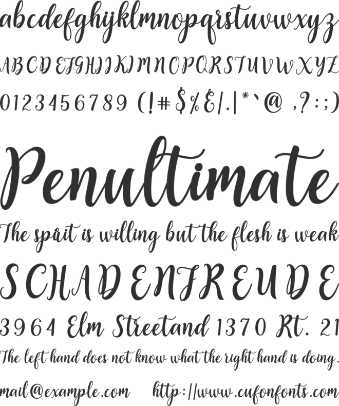 Sweety Script font preview